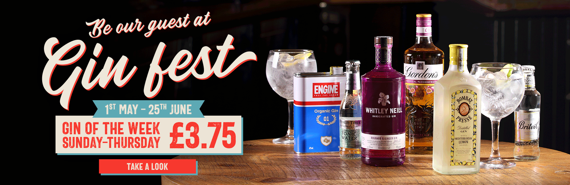 Gin Fest at The Mason's Arms